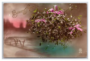 RPPC Tinted Floral Bouquet Bonne Annee Happy New Year Postcard W22