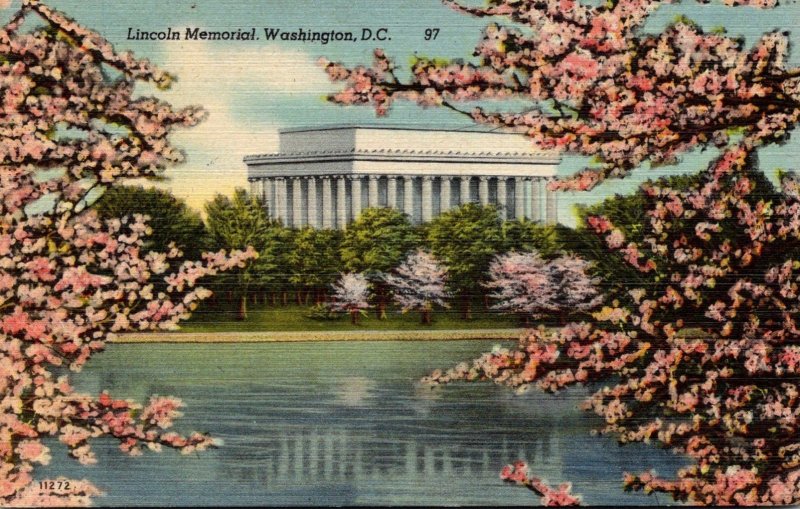 Washington D C Lincoln Memorial Through Cherry Blossoms