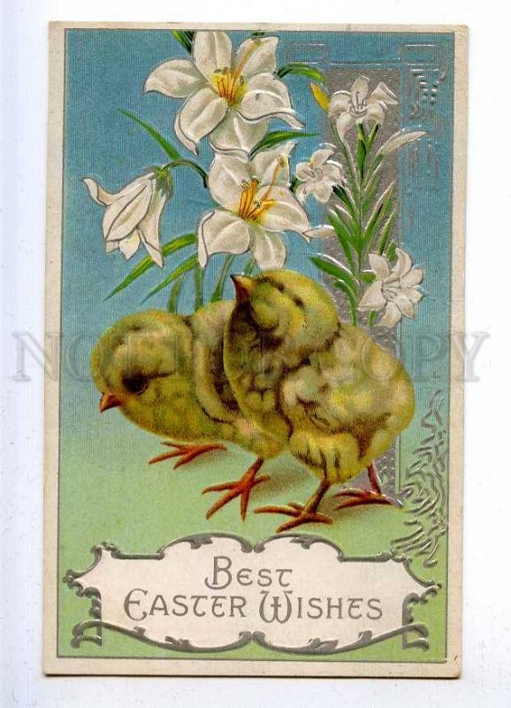 187188 EASTER Chickens w/ FLOWERS LILY Vintage EMBOSSED PC