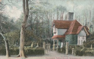 BOURNEMOUTH, THE LODGE, TALBOT WOODS - Vintage POSTCARD