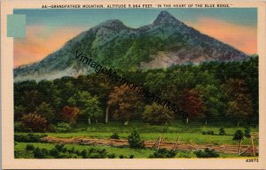 Grandfather Mountain In the Heart of Blue Ridge Postcard PC305