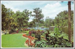 Florida Silver Springs Park - [FL-126]