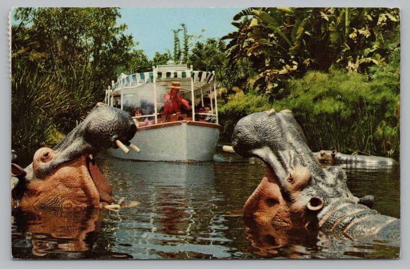 Vintage 1975 Disneyland Jungle Cruise Hippos of the Congo Adventureland Postcard