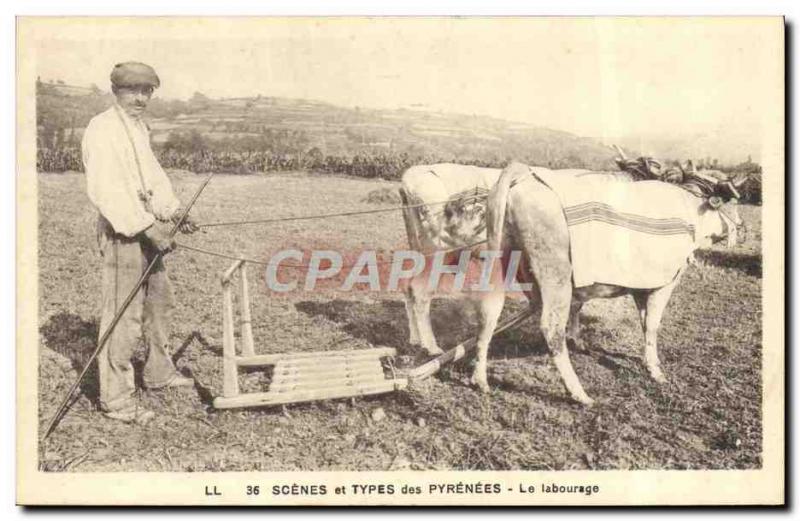 Postcard Old Hitch Pyrenees Plowing