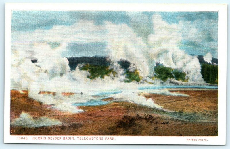 c1920s Yellowstone Norris Geyser Basin Haynes Photo Postcard Litho Park Vtg A32