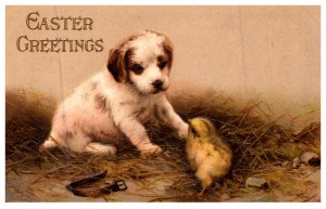 Dog ,  Easter Greetings