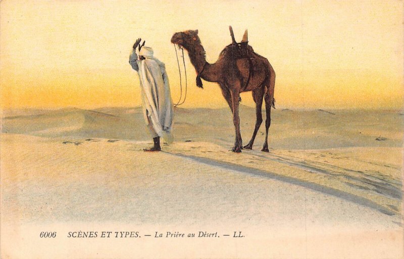 A619 Egypt Scenes et Types Native Man praying in desert Camel Ethnic postcard