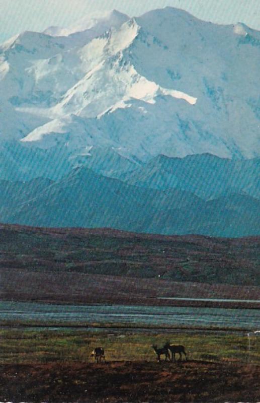 Alaska Mighty Mount McKinley Caribou On The Tundra 1979