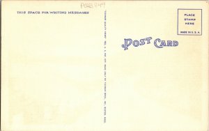 Belair Md Maryland Road Hwy Vintage LInen Postcard Tichnor Quality Views UNP 