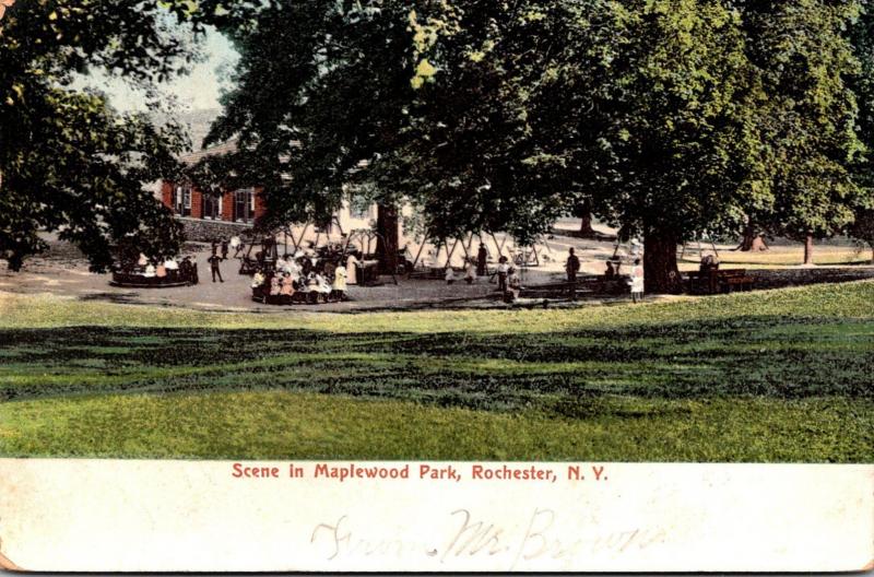 New York Rochester Scene In Maplewood Park 1906