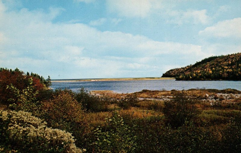 Neil Brook,Cape Breton,Nova Scotia,Canada