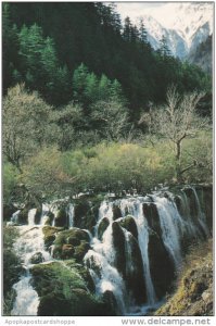 Glimpse At Jiuzhaigou Sichuan China