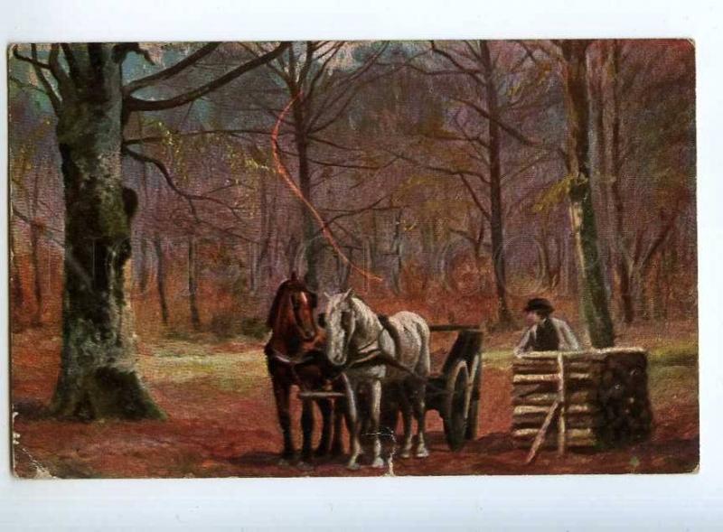 240840 AUTUMN Rural Life HORSE w/ Cart Vintage postcard