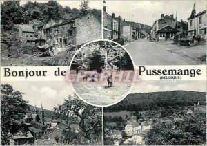 Modern Postcard Greetings from Pussemange (Belgium) Boars Customs