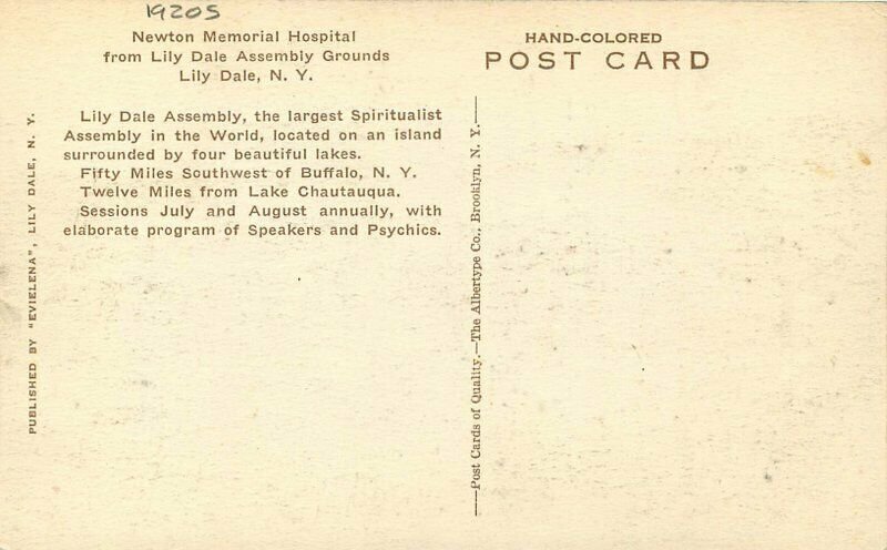 Lily Dale New York Newton Memorial Hospital Evielena Albertype Postcard 21-5589 