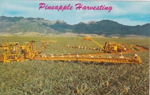 Hawaii Pineapple Harvesting Libby's Modern Machinery