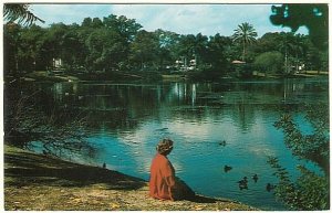 Mirror Lake, St. Petersburg, Florida, Vintage Chrome Postcard #1