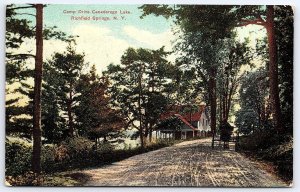 1910's Camp Drive Canandarago Lake Richfield Springs New York NY Postcard 