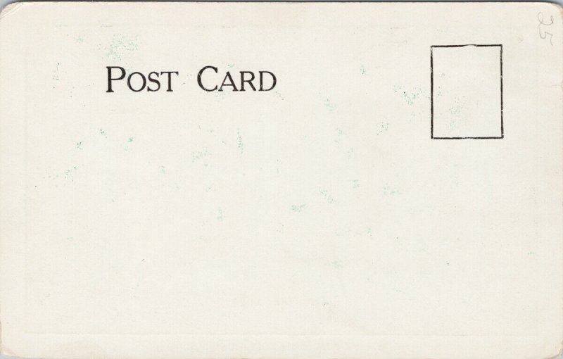 Moline IL Public Library Unused Litho Postcard G45