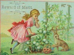 1870's-80's Reward Of Merit Card Adorable Girl Brown Rabbit Flowers Basket P78