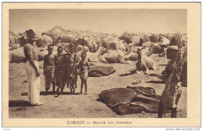 Djibouti , PU-1934 ; Marche aux chameaux