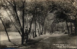 Lake Hopatcong New Jersey NJ Birch Tree Walk Real Photo Vintage Postcard