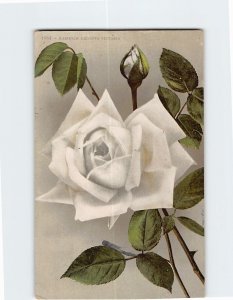 Postcard Kaiserin Augusta Victoria