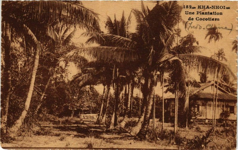 CPA AK INDOCHINA Kha Nhoi Une Plantation de Cocotiers VIETNAM (957234)