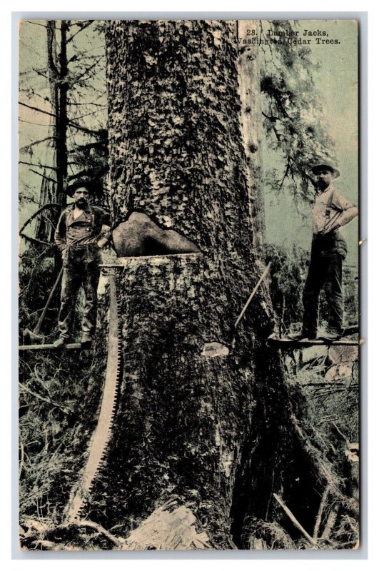 Lumberjacks and Gaint Fir Tree Washington State UNP DB Postcard R17 