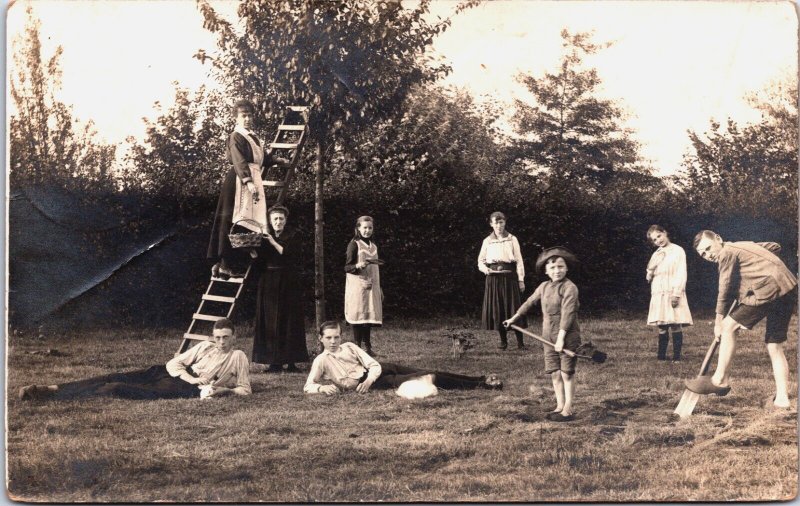 Netherlands Picking Apples Maastricht Fotokaart Vintage RPPC C089