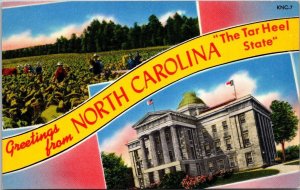 North Carolina Greetings From The Tar Heel State Split View