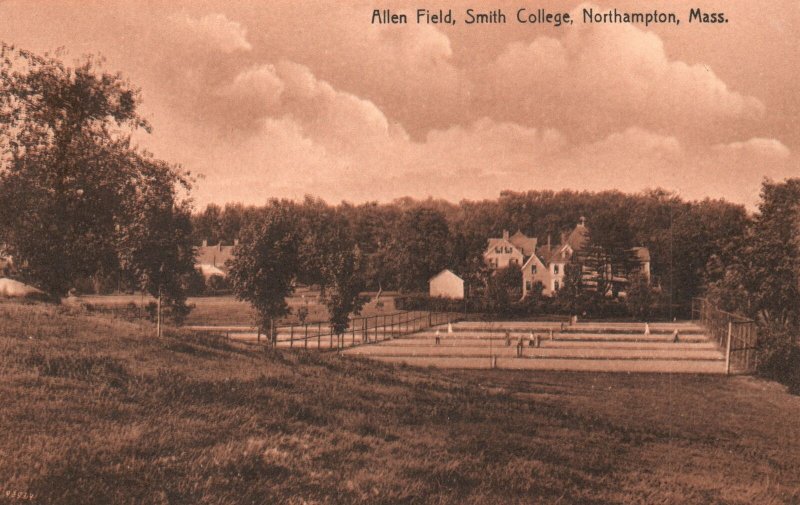 Vintage Postcard Allen Field Smith College Building Northampton Massachusetts MA