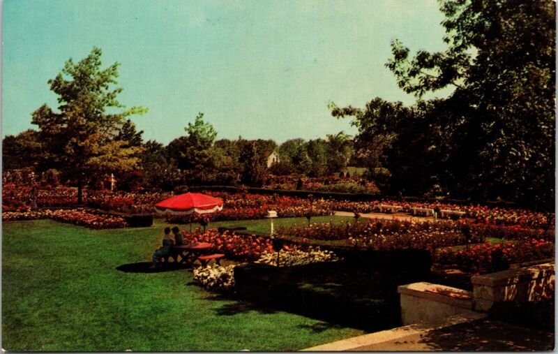 Jackson & Perkins Scenic Rose Gardens Newark New York Chrome Postcard