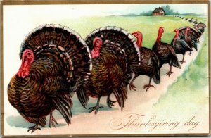 Embossed Tuck Postcard Thanksgiving Day Row of Turkeys Walking ~1910 K19