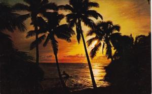 Hawaii Beach With Beautiful Sunset