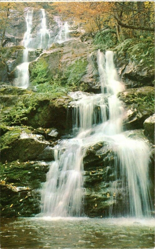 Dark Hollow Falls Virginia VA Waterfalls VTG Postcard UNP Unused Vintage Chrome 