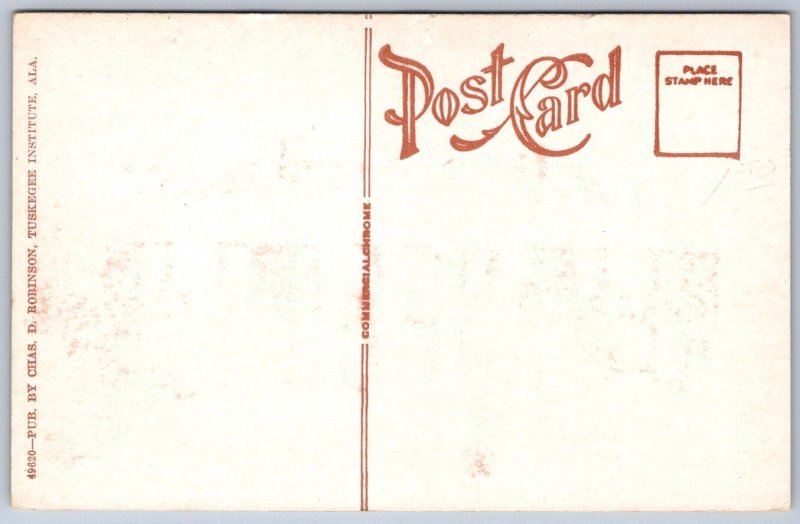 K40/ Tuskegee Institute Alabama Postcard c1910 Carnegie Library 4
