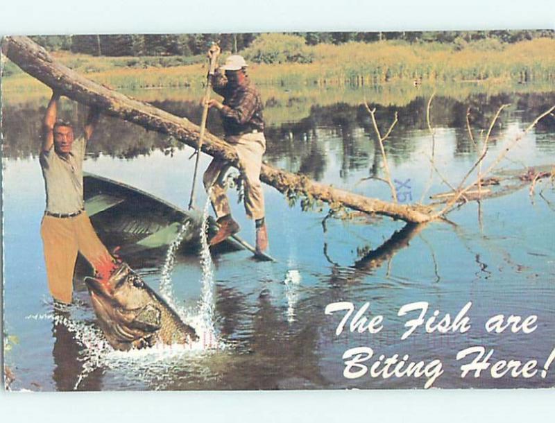 1990's CATCHING HUGE FISH Lake County - Waukegan & North Chicago IL hp8616