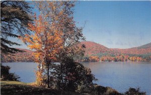 US6 USA Squam Lake New Hampshire postcard