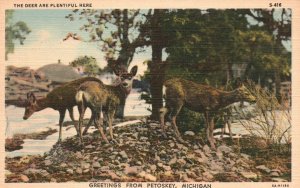 Vintage Postcard Greetings From Petoskey Michigan Deers Near The River Animals