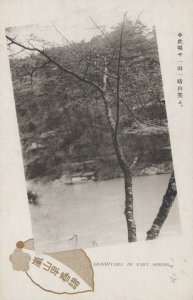 Japan Postcard - Trees - Arashiyama in Early Spring  RS23813