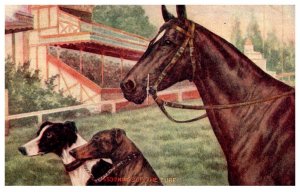 Horse and Greyhounds  , Kings of the Turf