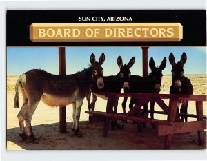 Postcard Board Of Directors, Sun City, Arizona