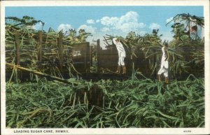 Hawaii HI Workers Loading Sugar Cane c1920 Postcard