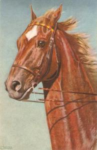 Horse Nice antique Swiss postcard. Artist signed