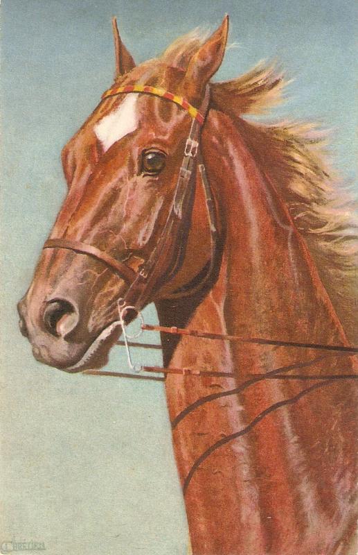 Horse Nice antique Swiss postcard. Artist signed