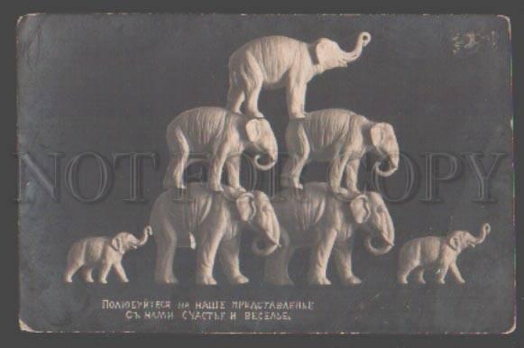 098982 Happy ELEPHANT Figures CIRCUS Vintage PHOTO Russian