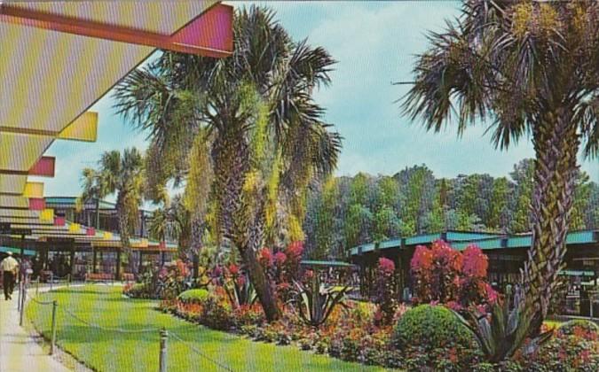 Florida Silver Springs Tropical Planting At Main Administration Building