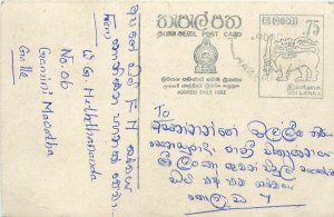 Entier Postal Stationery Postal Sri Lanka Ceylon Lion