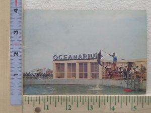 Postcard Haig performs, Oceanarium, Port Elizabeth, South Africa